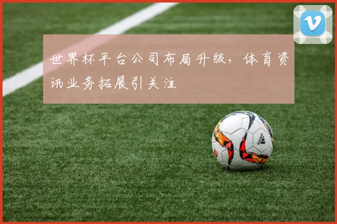 世界杯平台公司布局升级，体育资讯业务拓展引关注