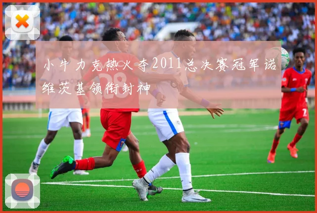 小牛力克热火夺2011总决赛冠军诺维茨基领衔封神